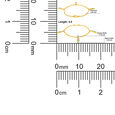 Plain Gold �Honey Bee� kids1-12 Bangles